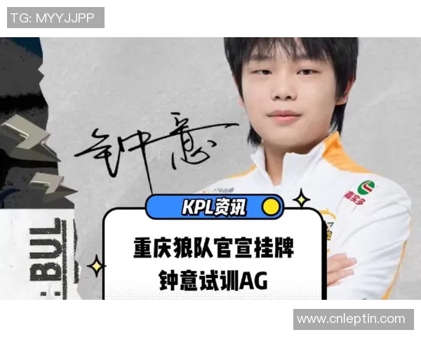 成都AG钟意的电竞之路与未来发展展望解析 成都AG钟意的电竞之路与未来发展展望解析